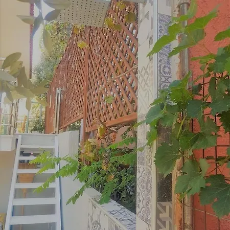 Apartamento Spitaki *