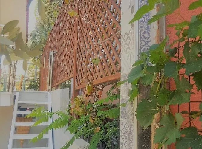 Διαμέρισμα Spitaki *